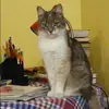 Отзыв от Юлия Старостина